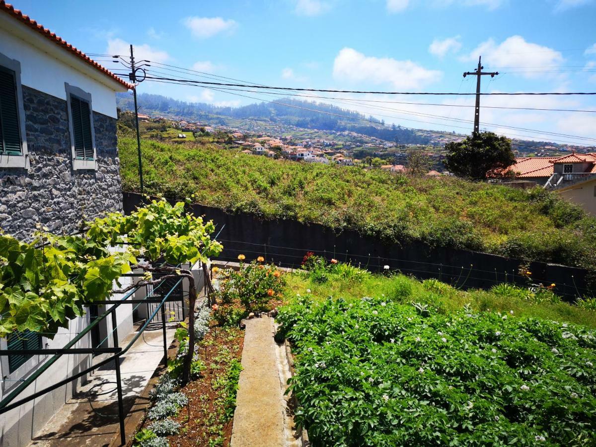 Madeira Inn Casa Da Paz Calheta  Exterior foto